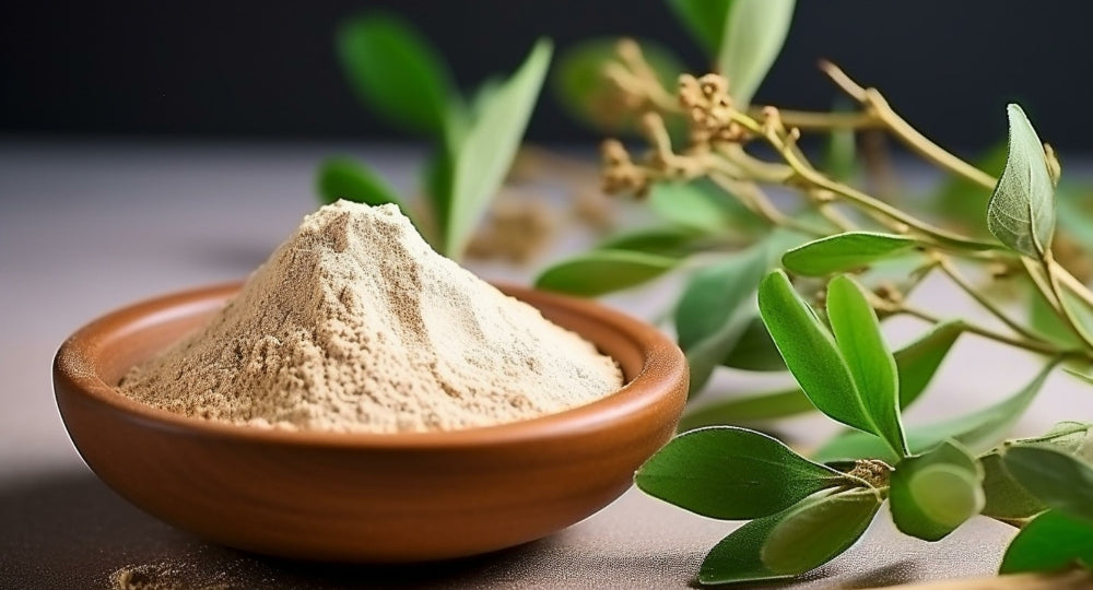 From The Blog - The Benefits of Ashwagandha